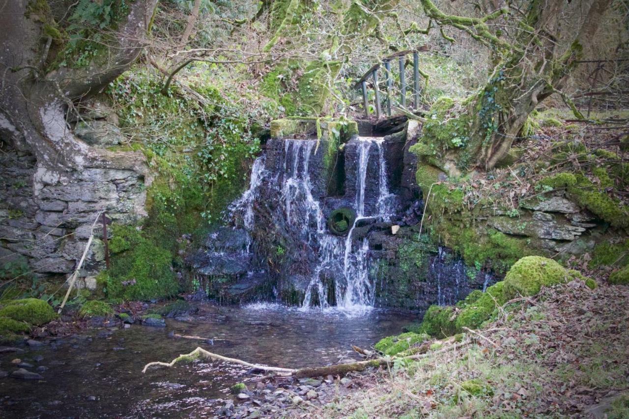 Waterfall Cottage Launceston Exteriér fotografie